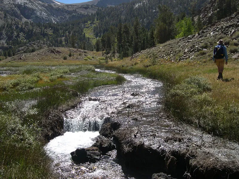 Faucherie Group Campground