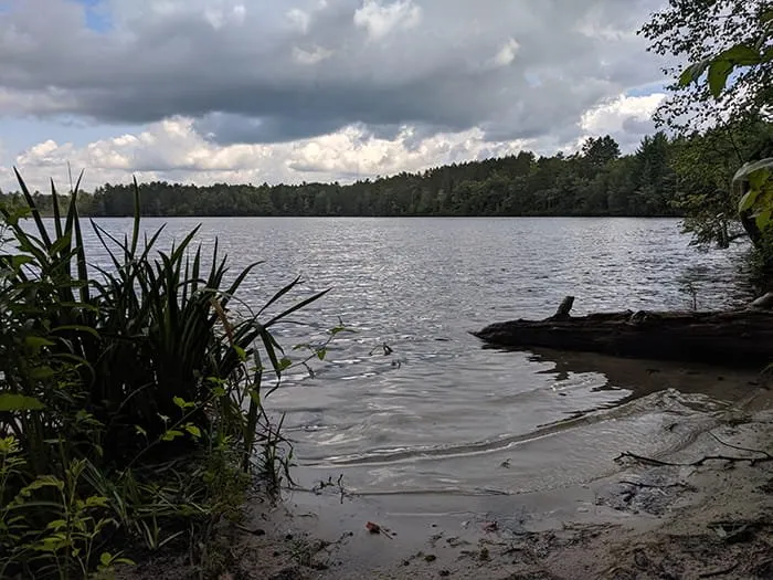 Lake Marjory State Forest Campground