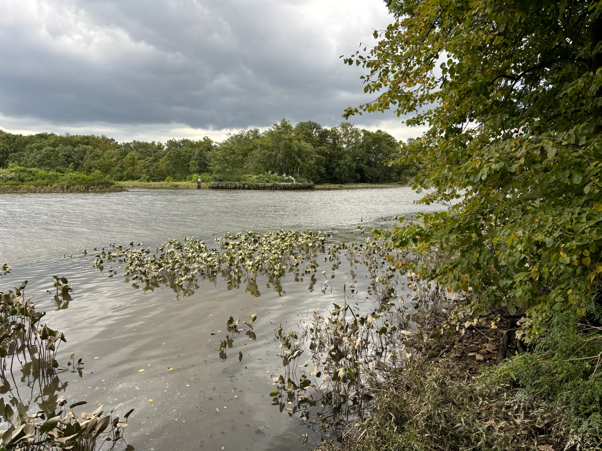 Neshaminy State Park
