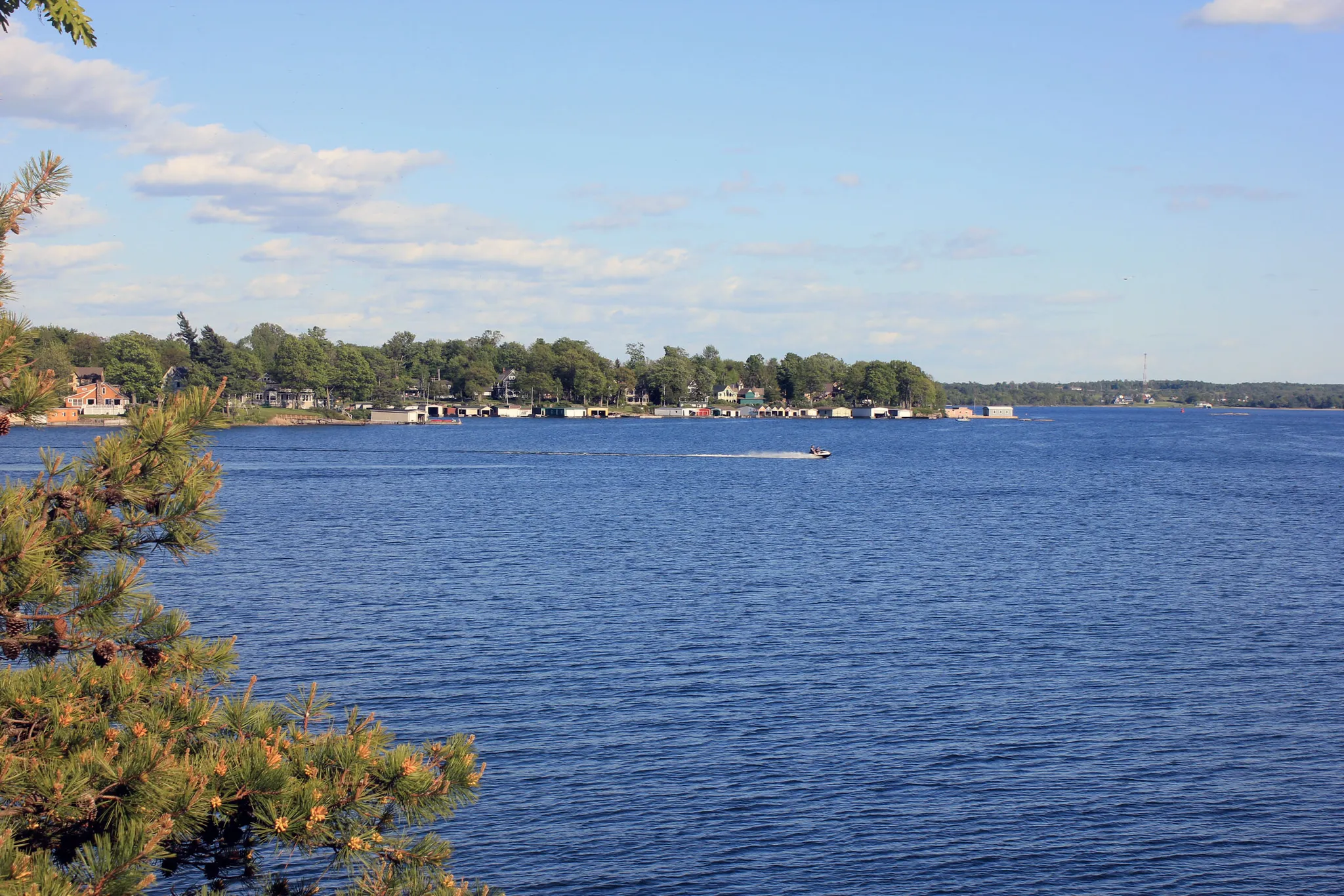 Wellesley Island State Park
