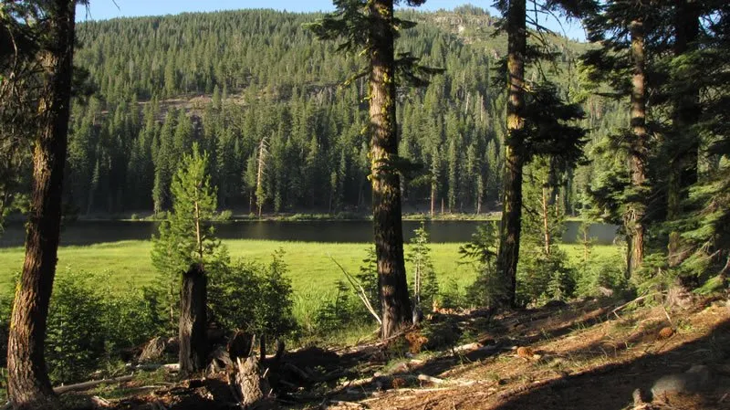 Dusty Campground