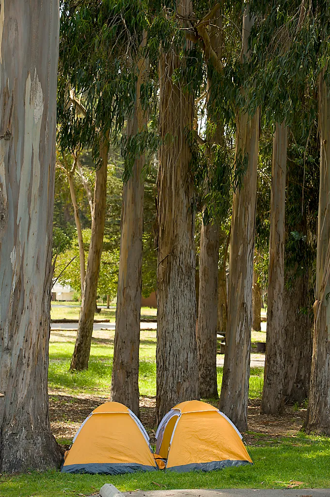 Morro Bay State Park Campground