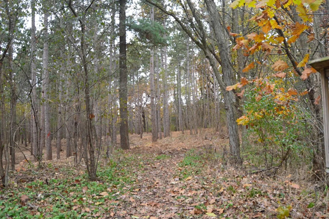 Kettle Moraine State Forest - Southern Unit