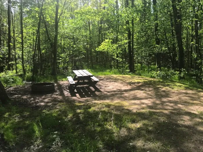 Maple Bay State Forest Campground