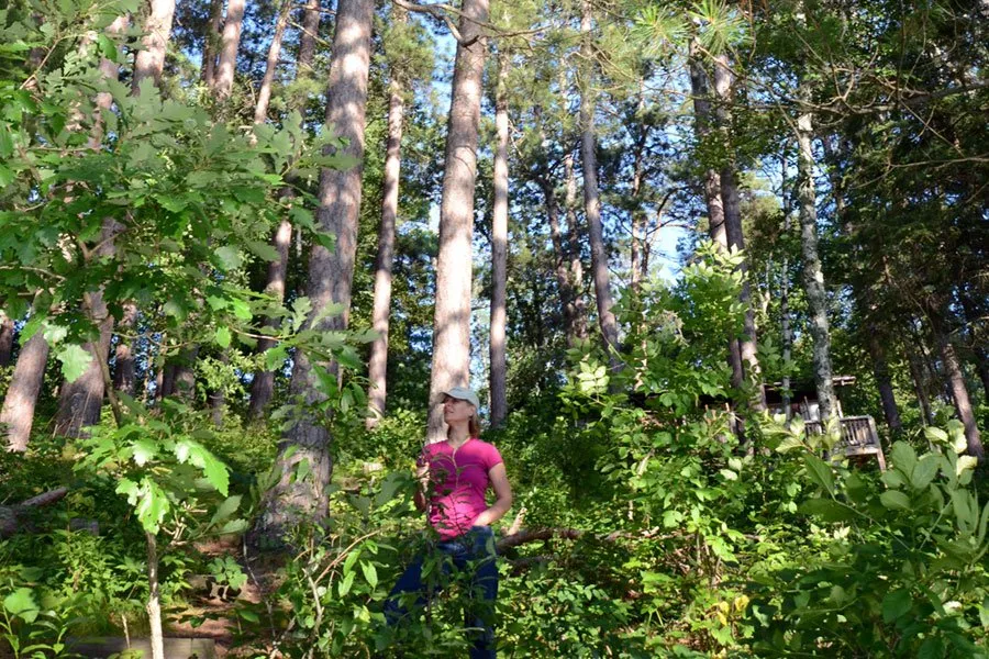 Bear Paw Campground
