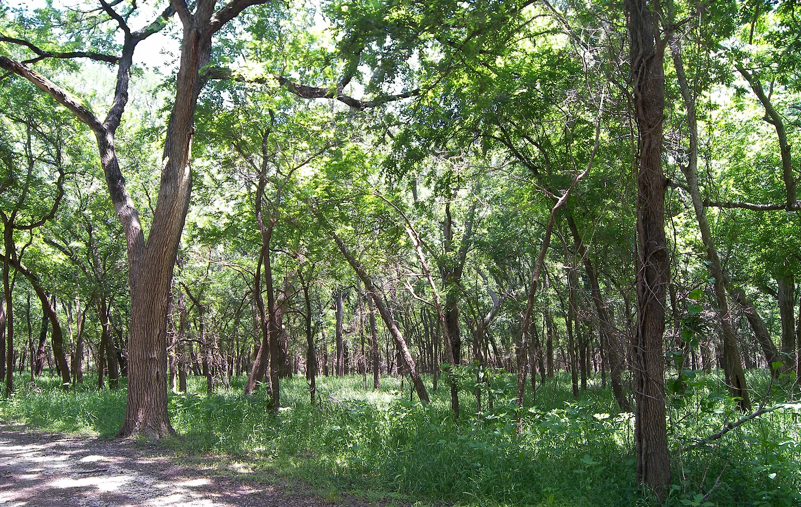 Mother Neff State Park