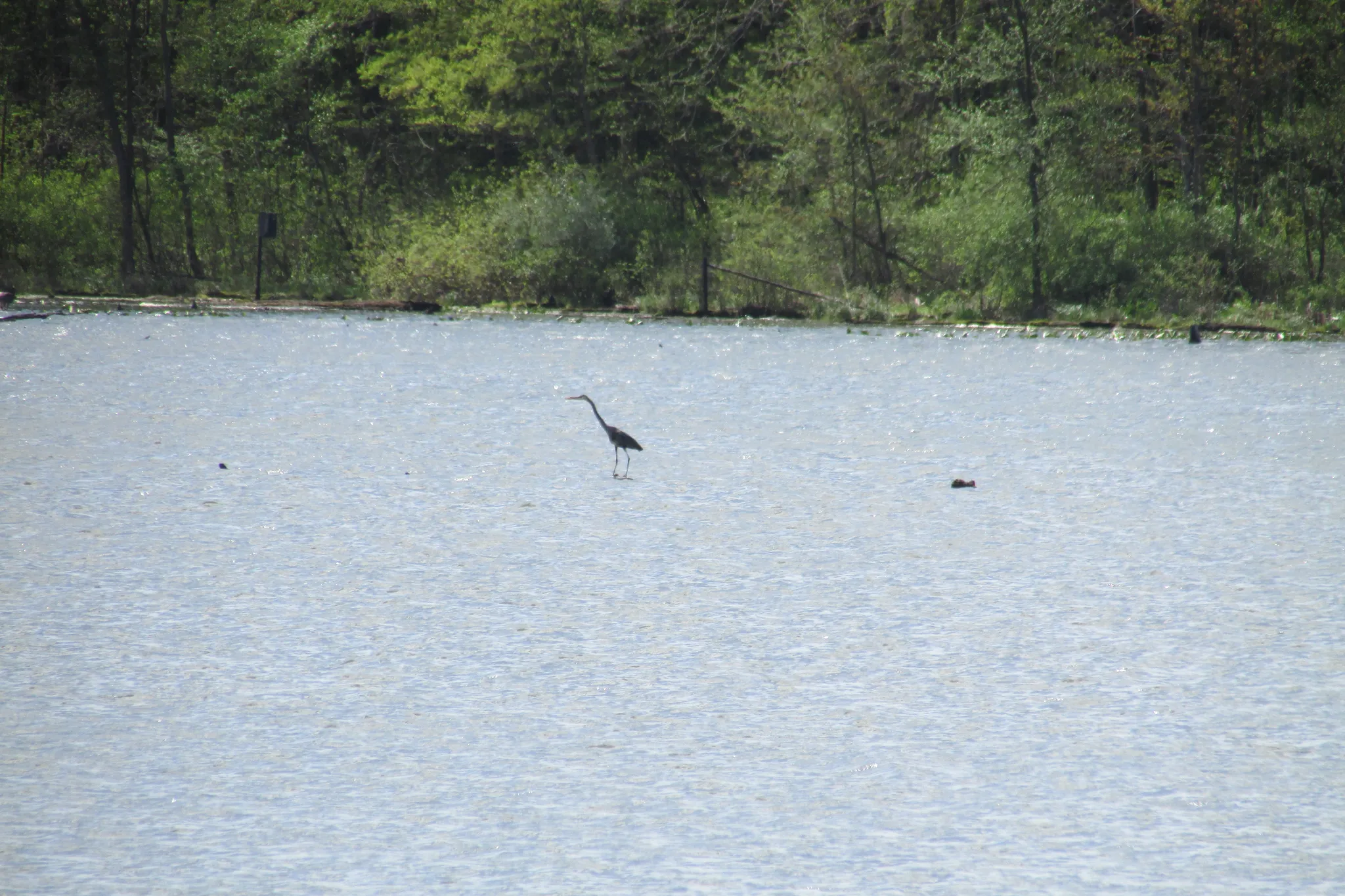 Potato Creek State Park