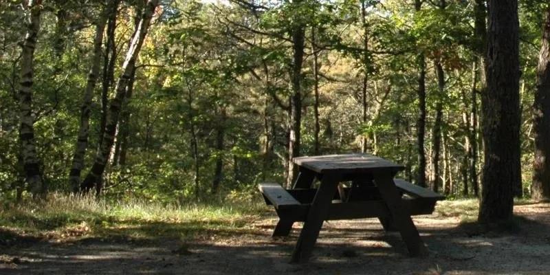 Nickerson State Park