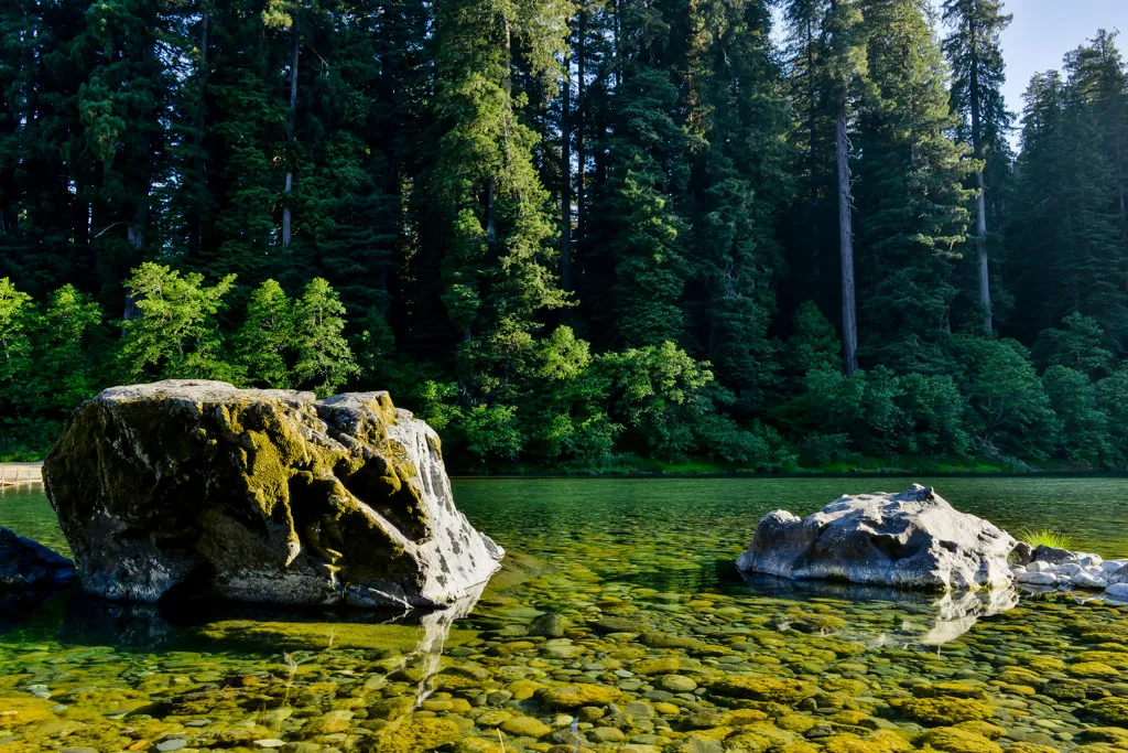 Jedediah Smith Redwoods Campground