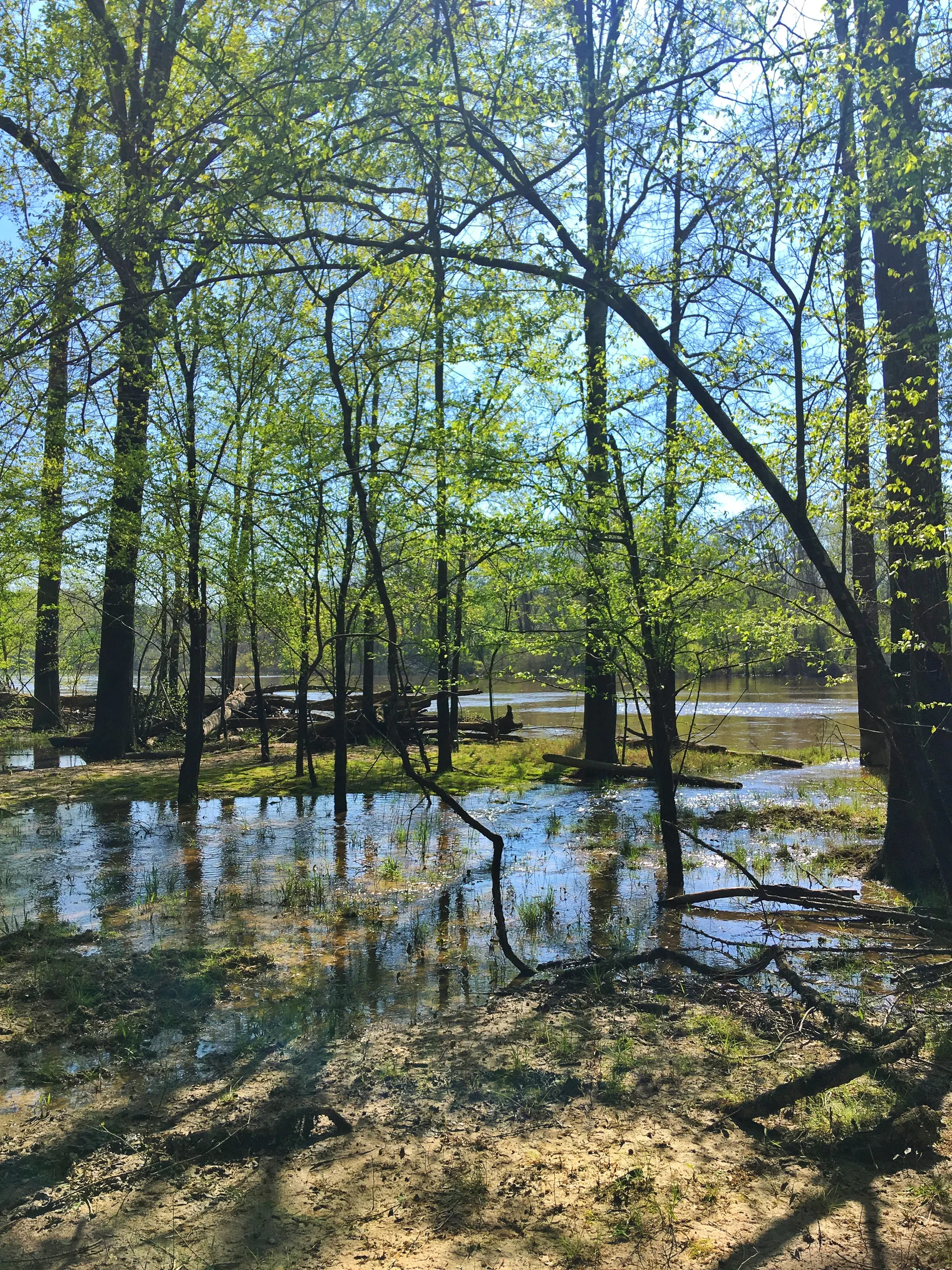Moro Bay Campground