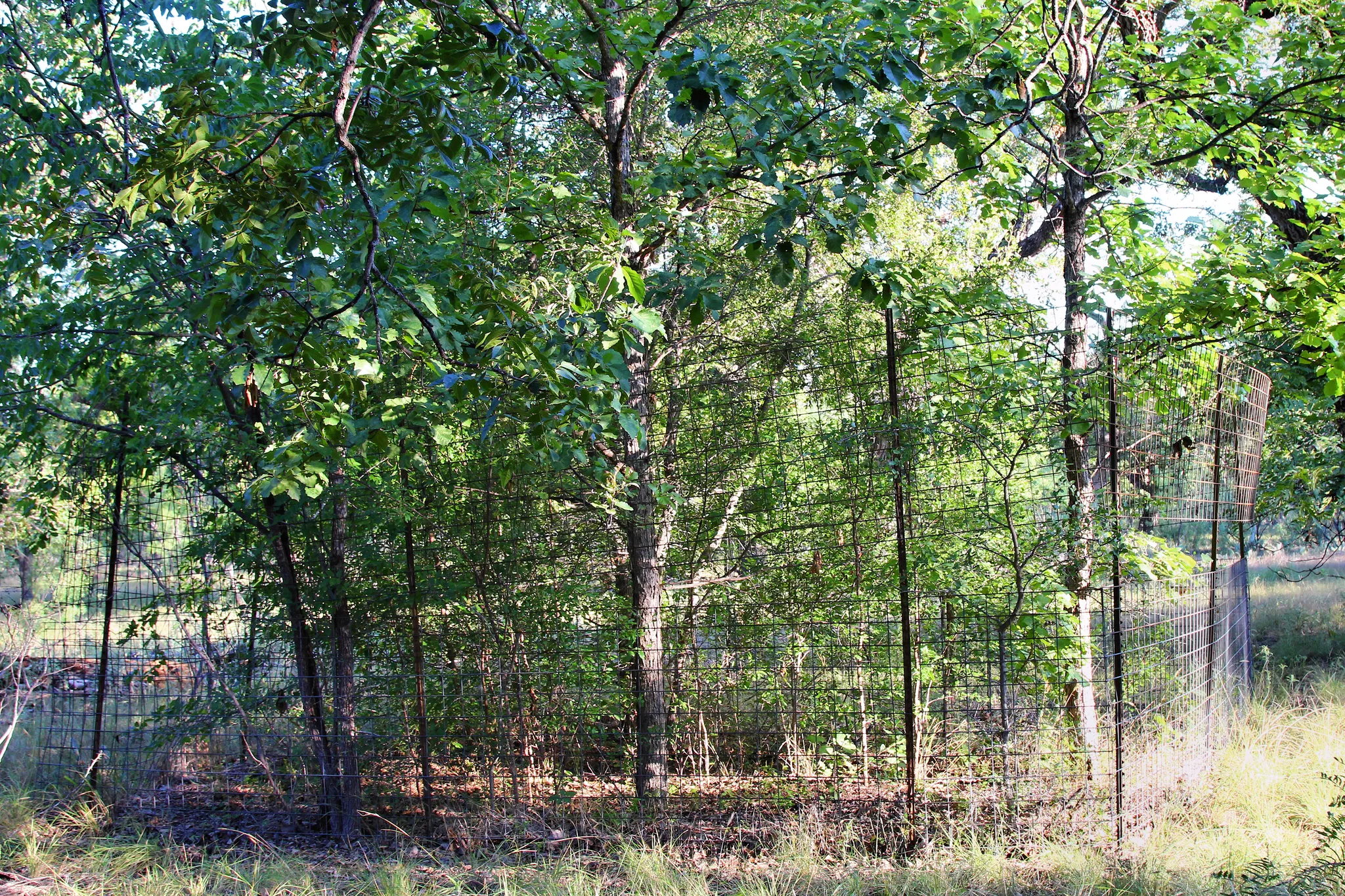 South Llano River State Park