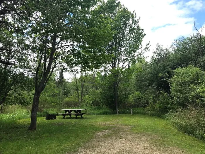 Haakwood State Forest Campground