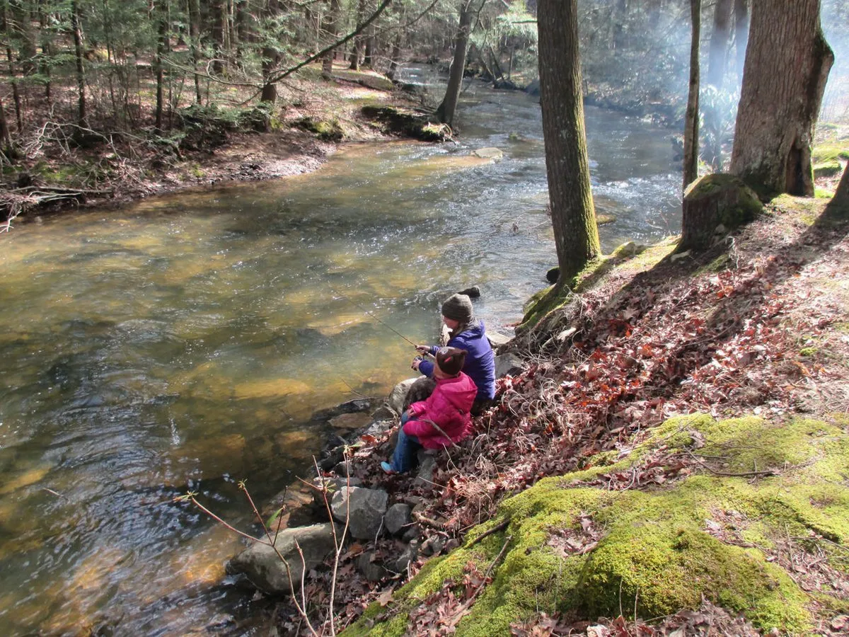 Reeds Gap State Park