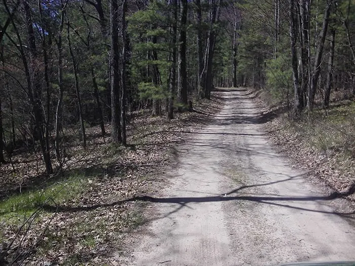 Long Lake State Forest Campground  (Wexford)