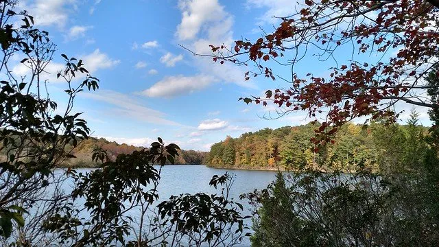 Lake Anna State Park Campground