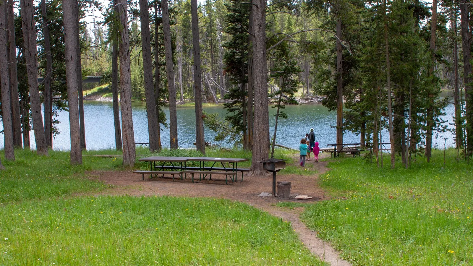 Bridge Bay Campground