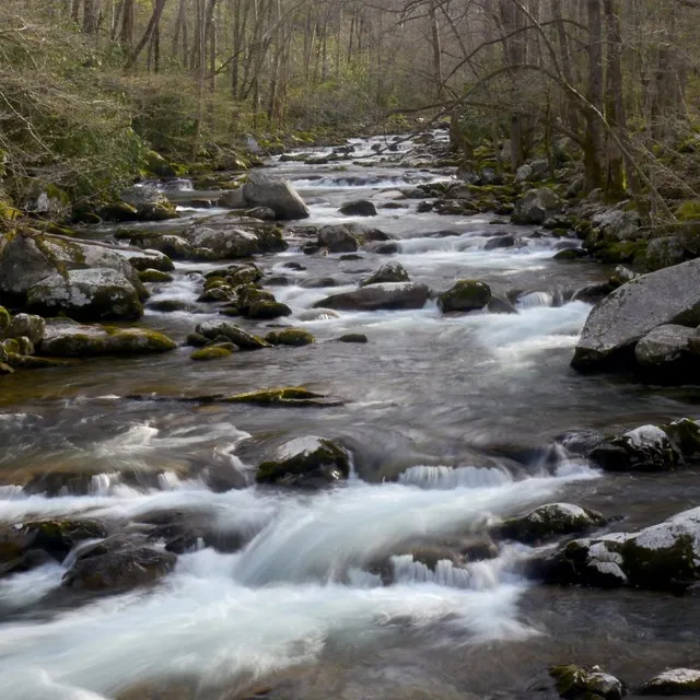 Big Creek Campground