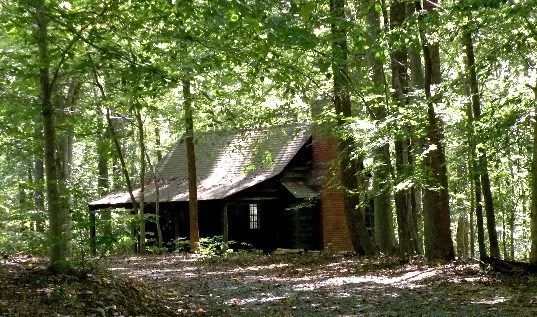 Cabin Camp 4 (By Reservation Only)