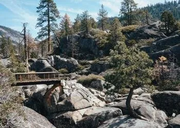 Black Springs Ohv Campground