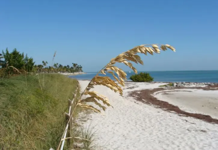 Curry Hammock State Park Campground
