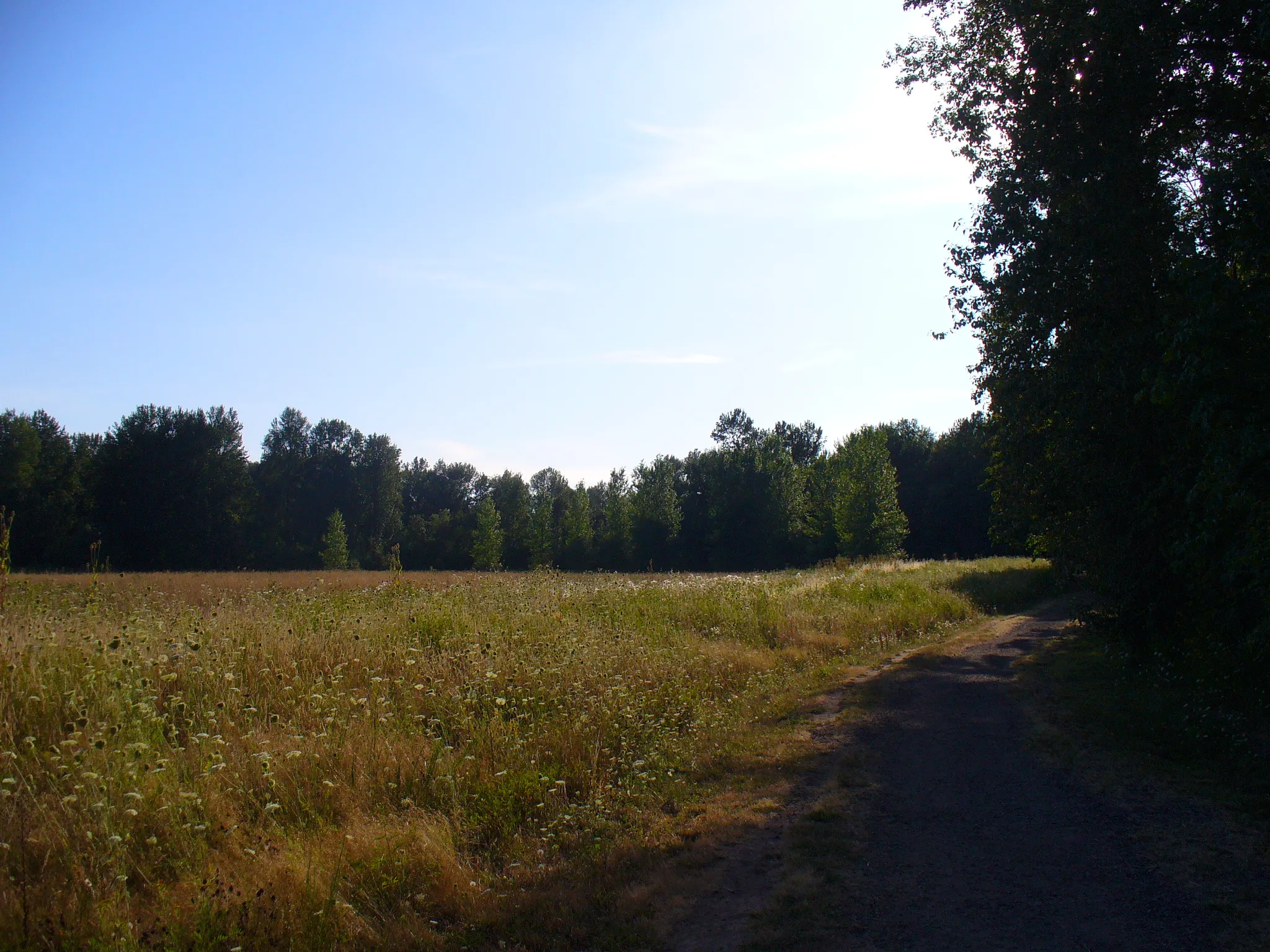 Molalla River State Park