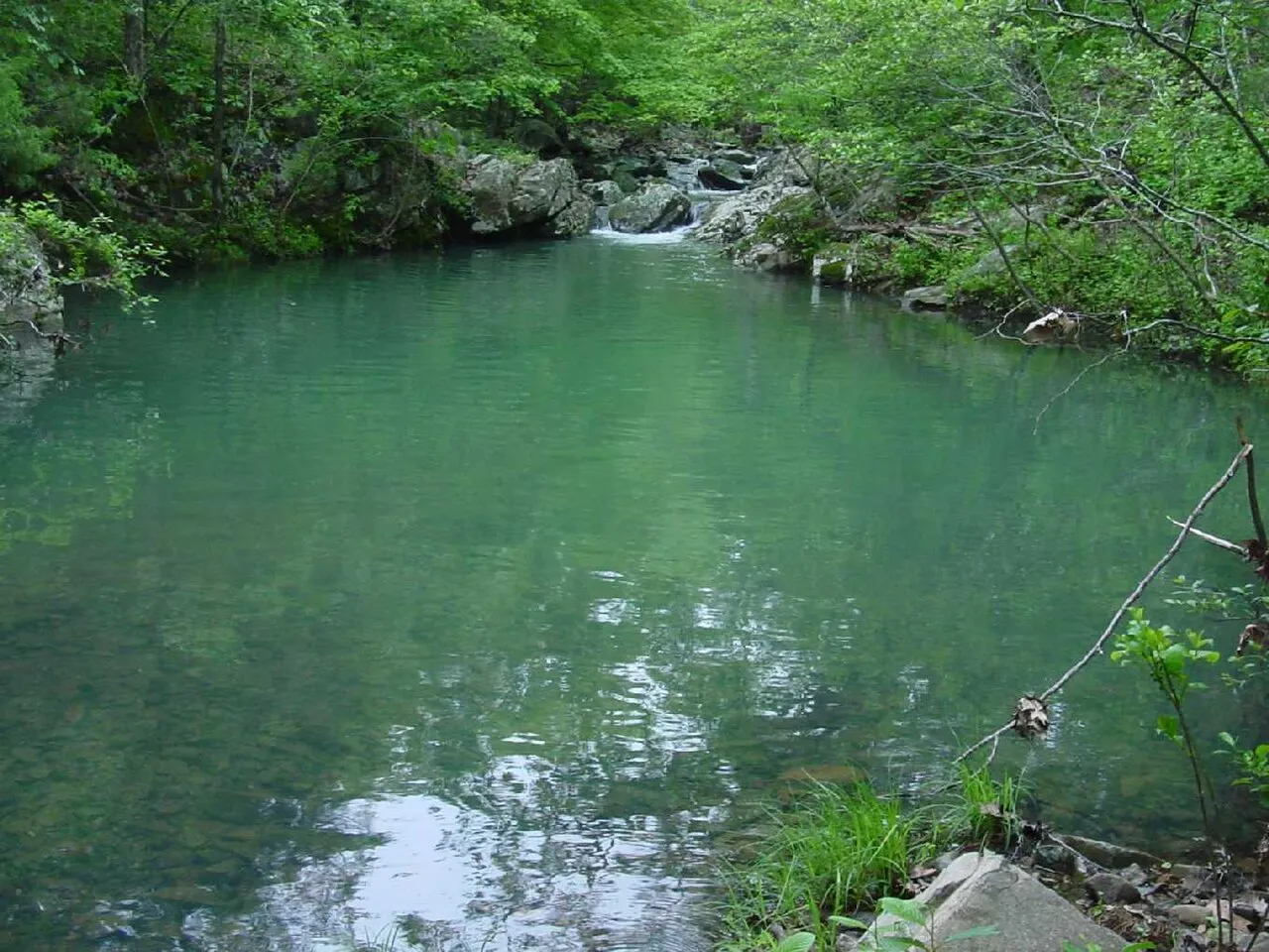 Campground 1 (Sites 44-95 And 195-208)