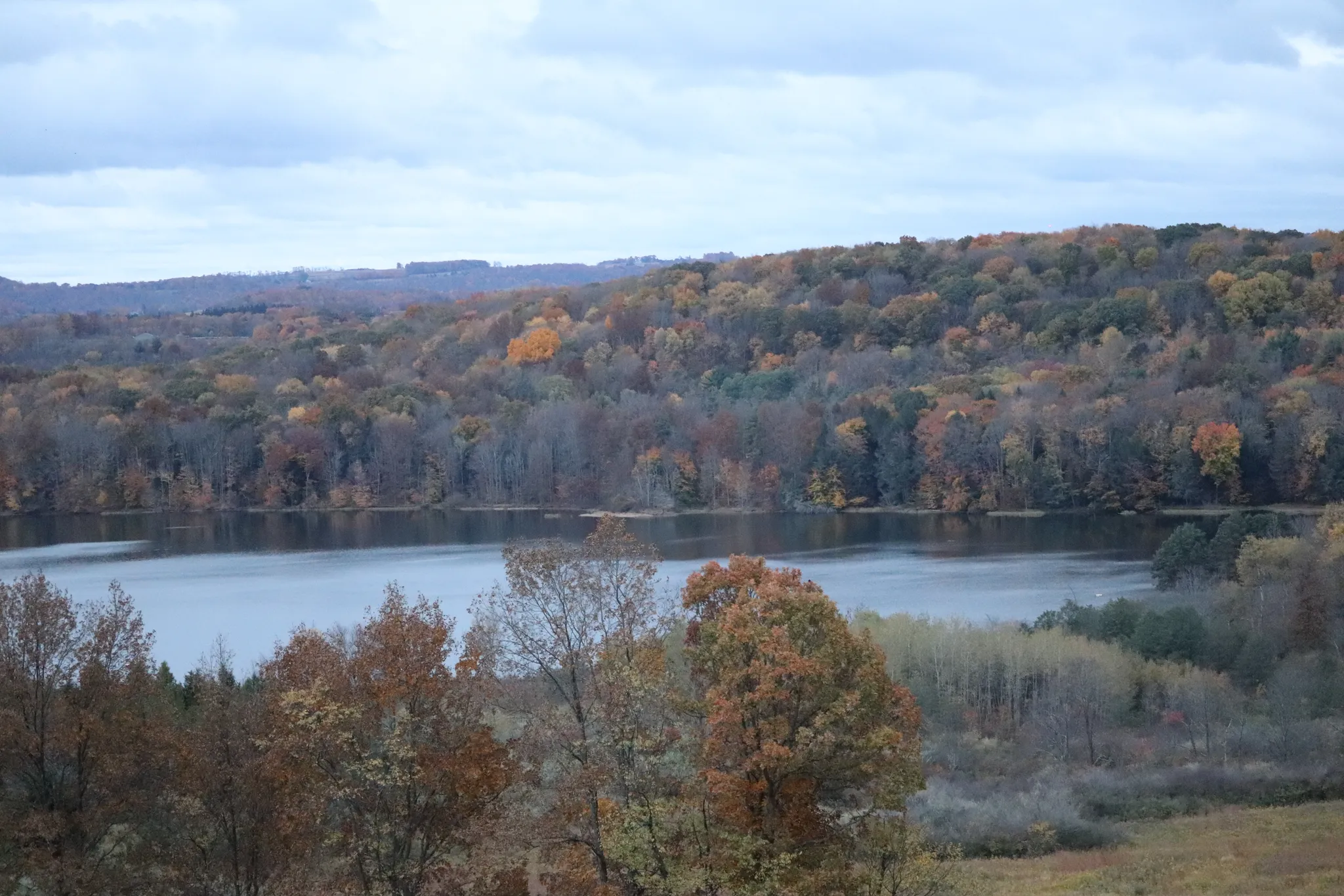 Prince Gallitzin State Park
