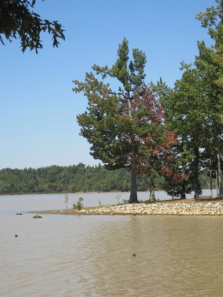 Lake Frierson Campground