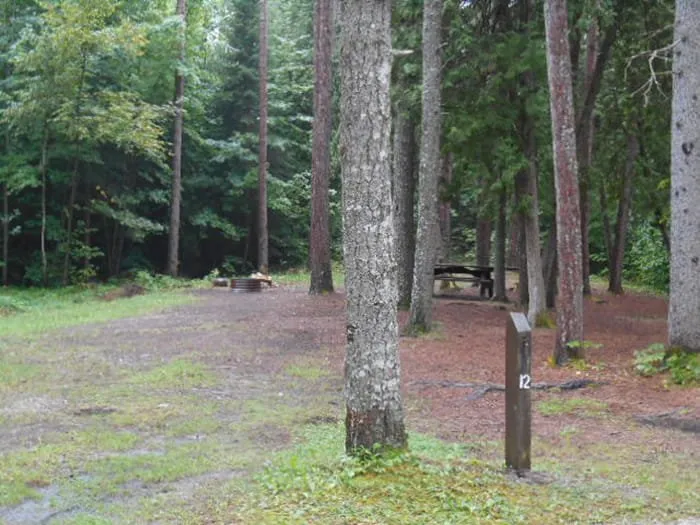 Detour State Forest Campground