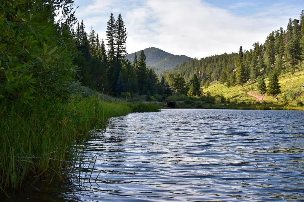 State Forest State Park