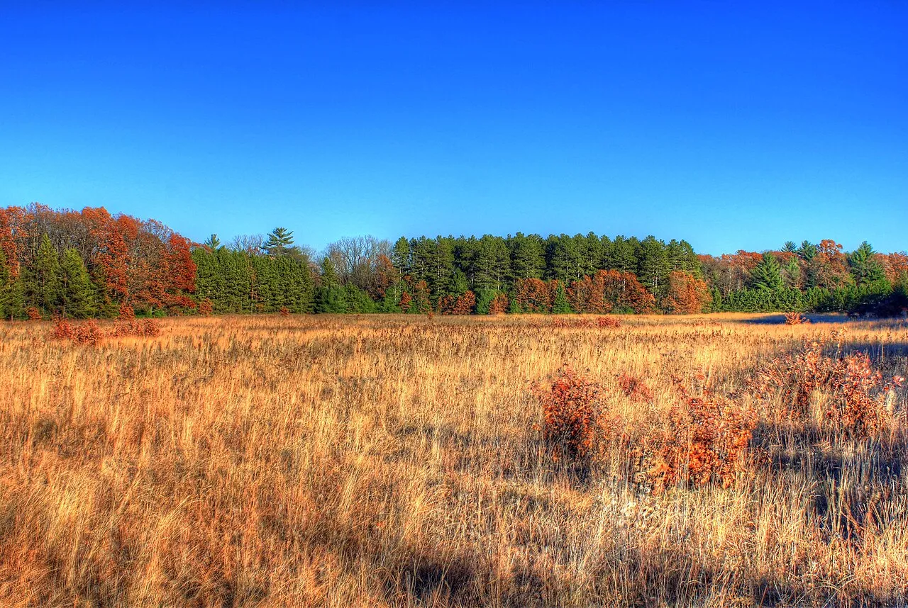 Roche-A-Cri State Park