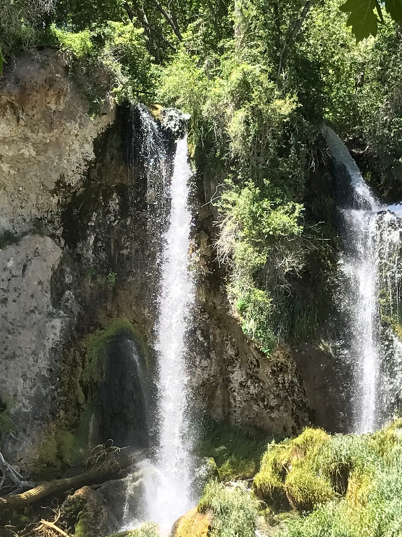 Rifle Falls Campground