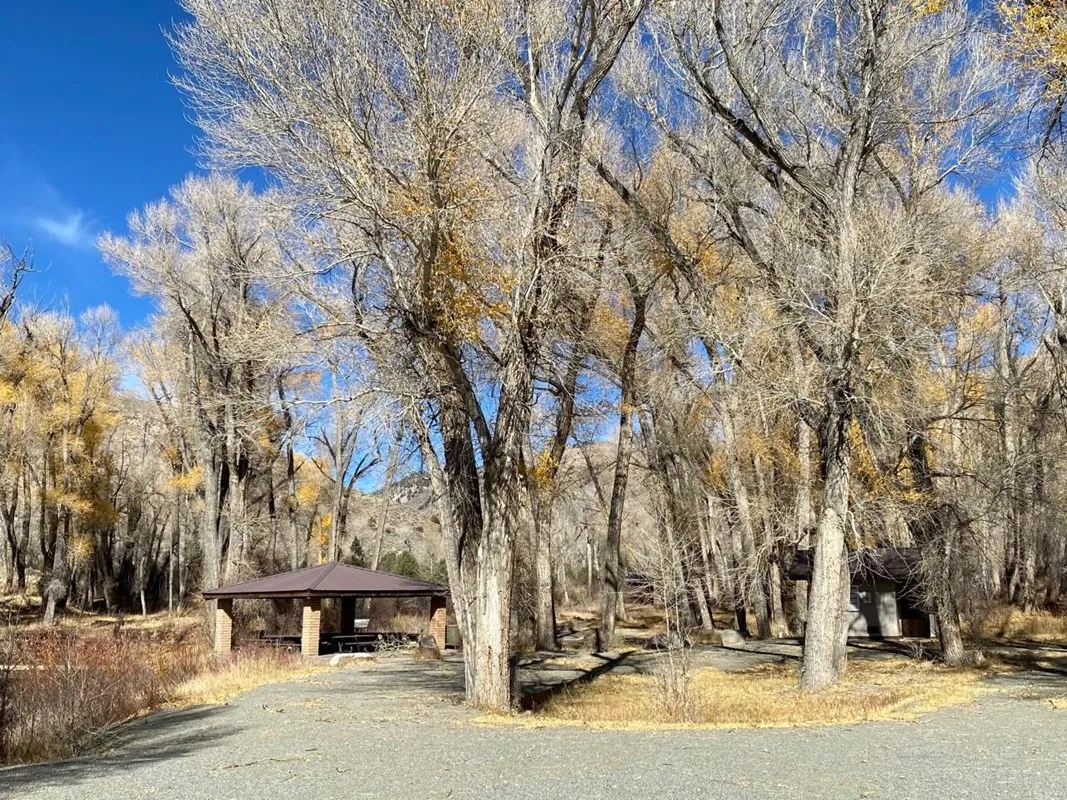 East Elk Creek Group Campsite