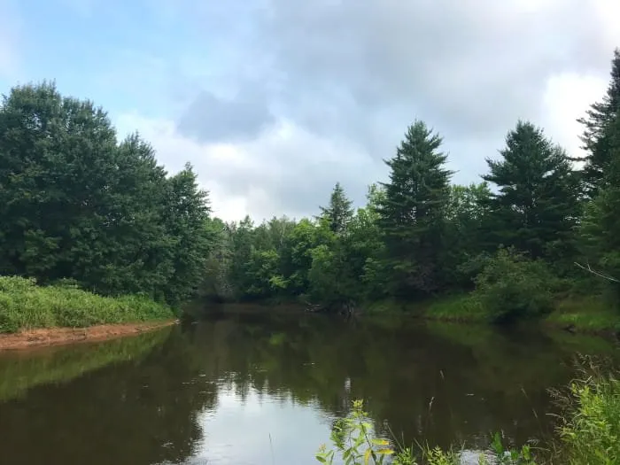 Mead Creek State Forest Campground