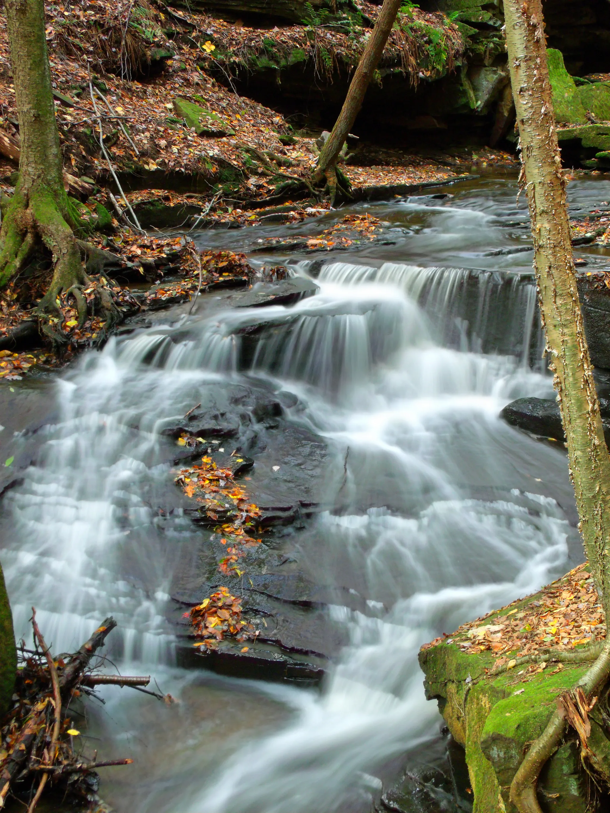 Maurice K Goddard State Park