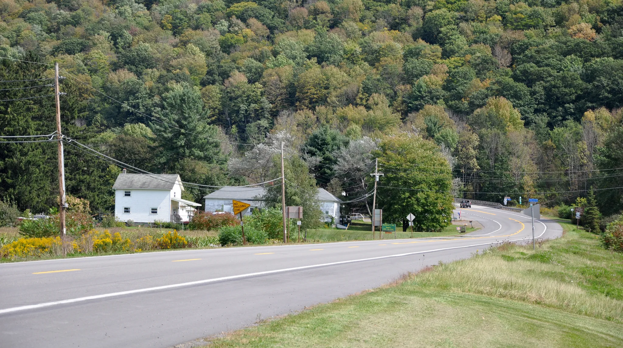 Tioga State Forest