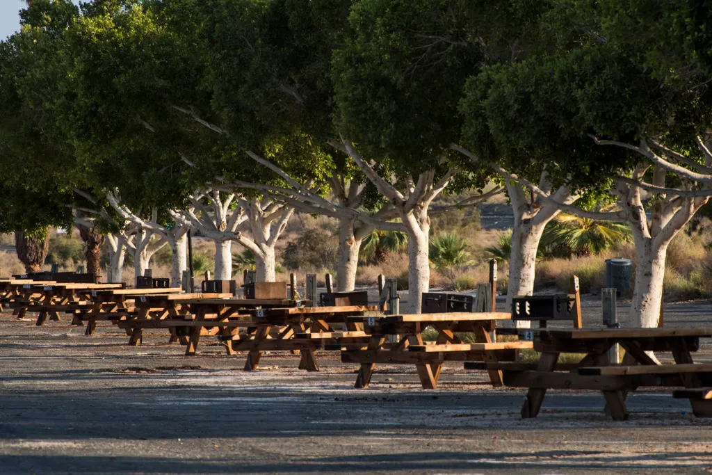 Salt Creek Beach Campground