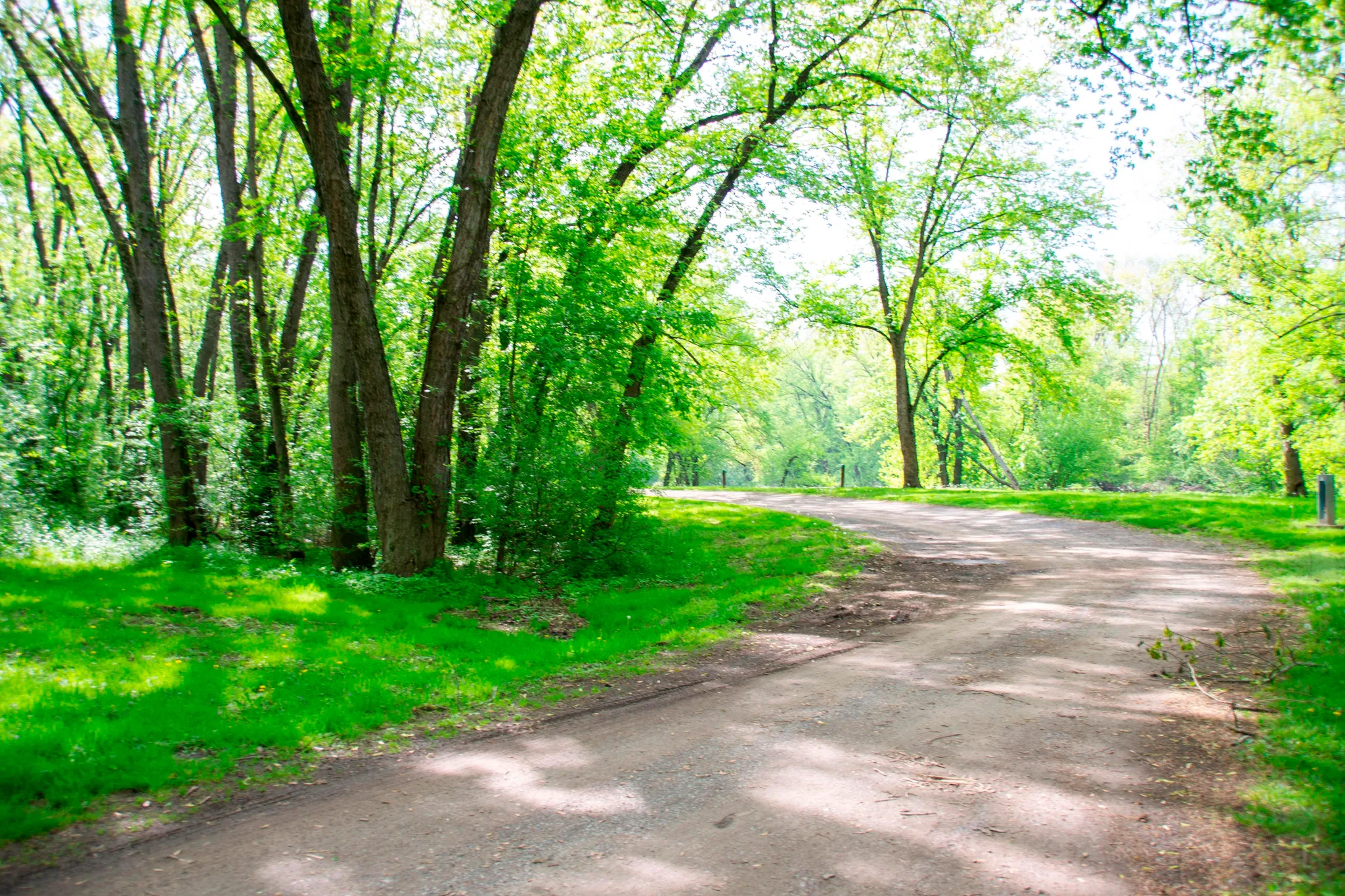 Spring Gap Campground