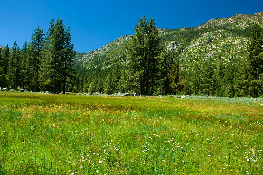 Grover Hot Springs State Park Campground
