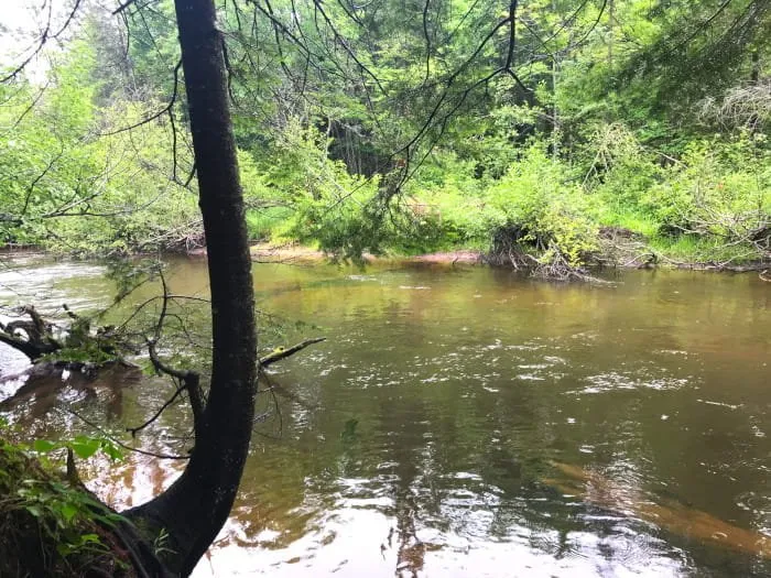 Fox River State Forest Campground