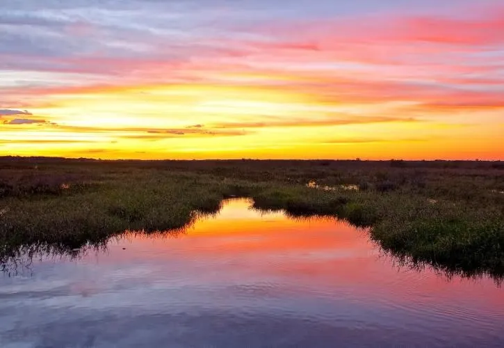Kissimmee Prairie Preserve State Park Loop Fam