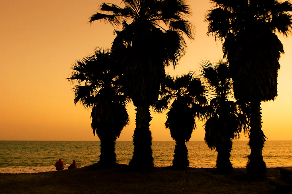 Doheny State Beach Campground
