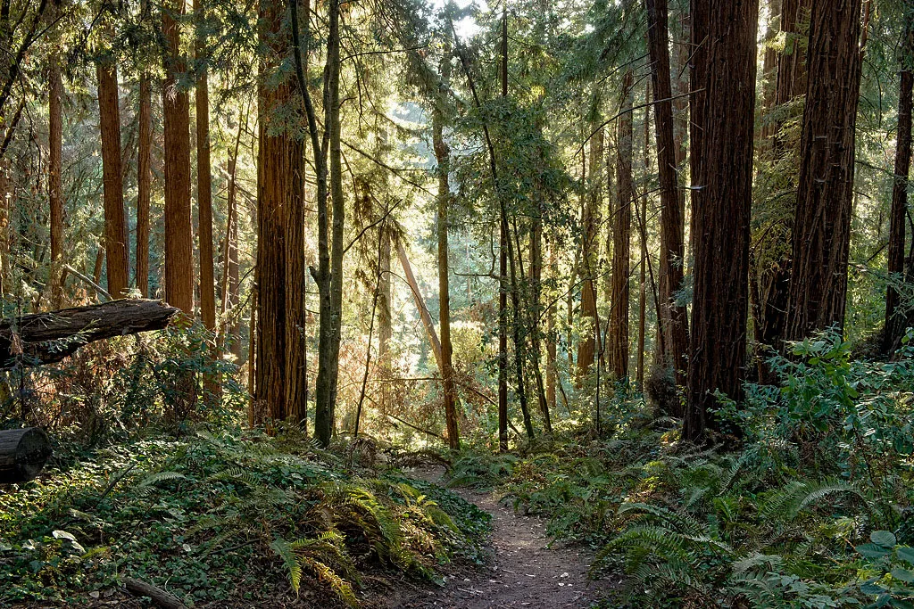 West Ridge Trail Campground