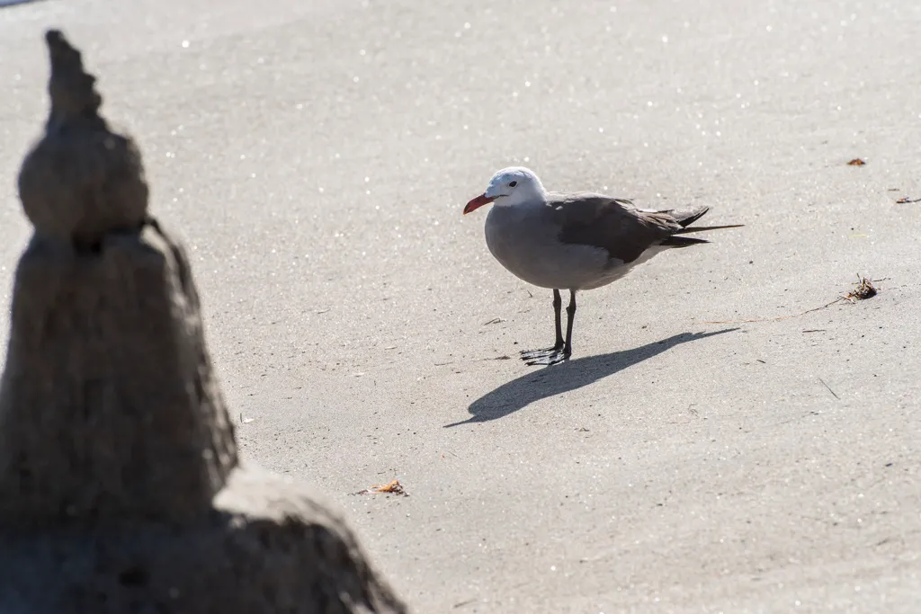 Seacliff State Beach Campground