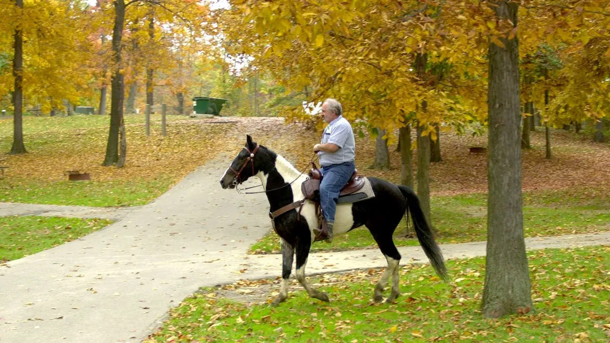 West Branch Equestrian Camp