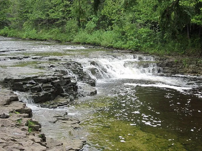 Ocqueoc Falls State Forest Campground