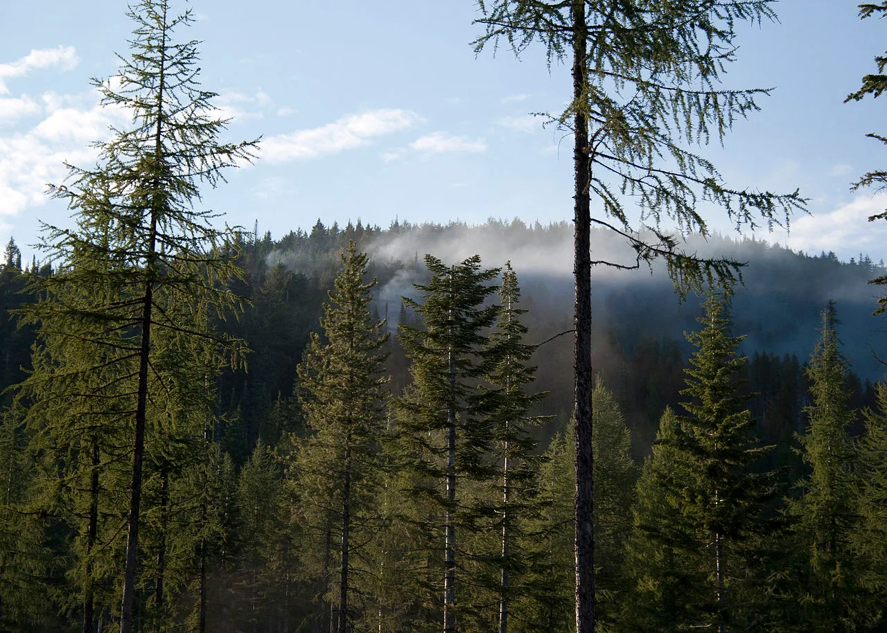 Little Twin Lakes Campground