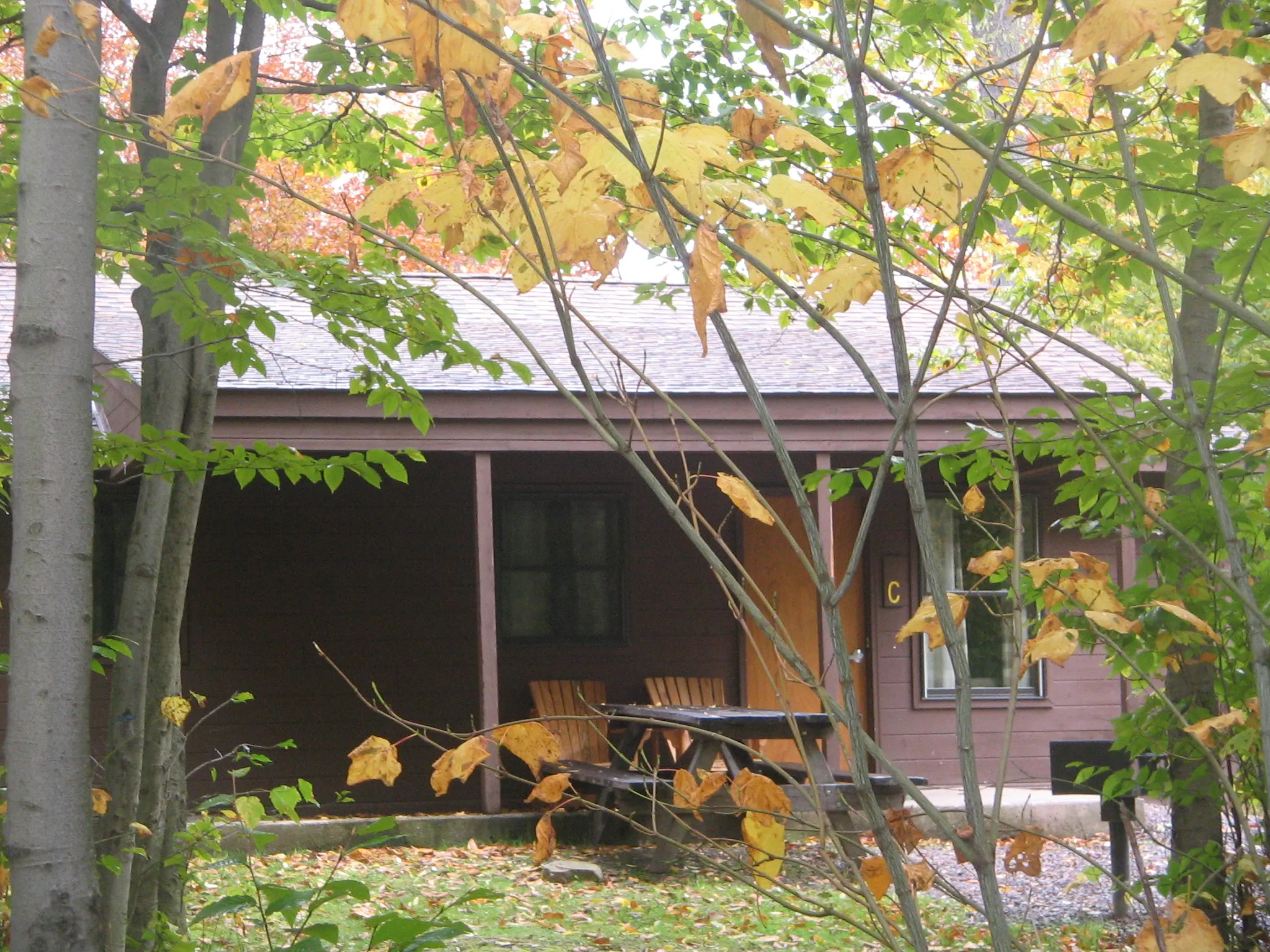 Ricketts Glen State Park