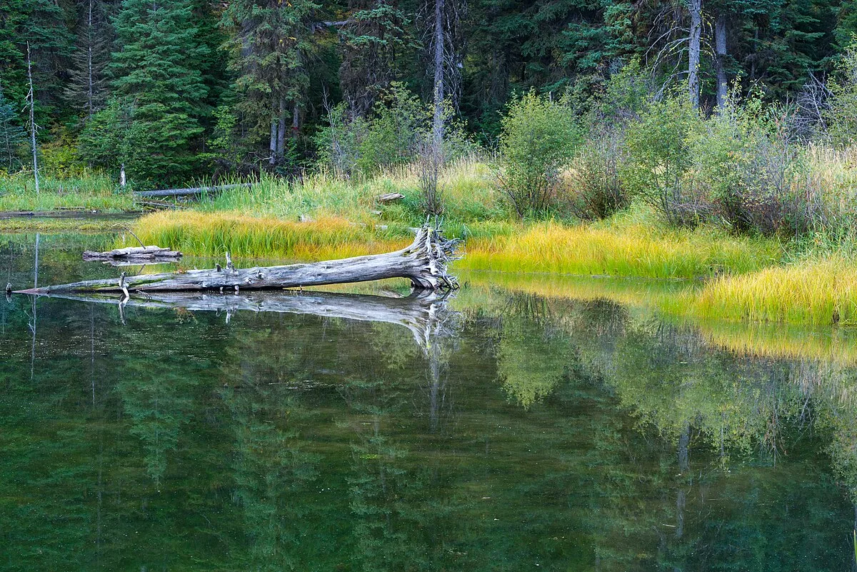 Trout Farm Campground