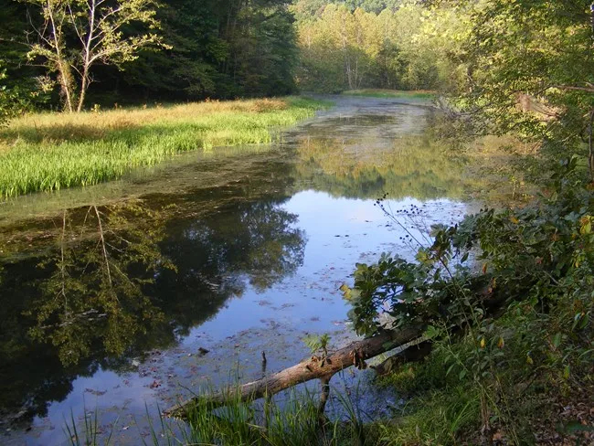 Prince William Forest Rv Campground